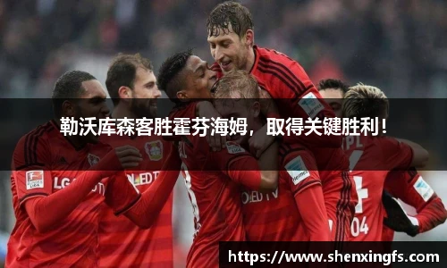 勒沃库森客胜霍芬海姆，取得关键胜利！